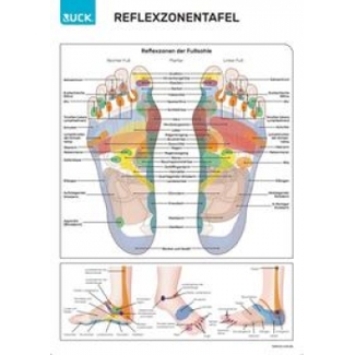 Ruck-Reflexzonentafel